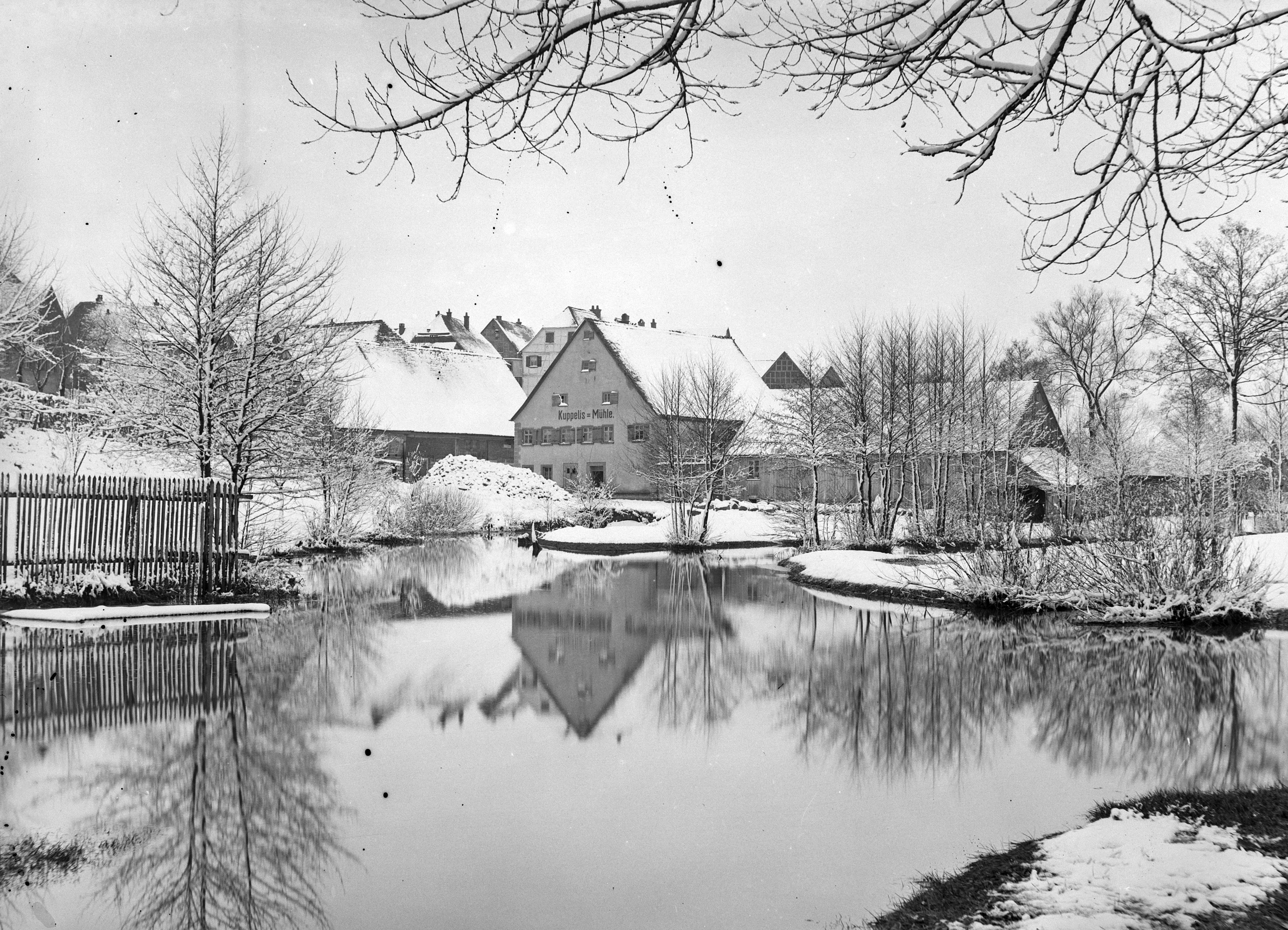 Inv.-Nr. 4459