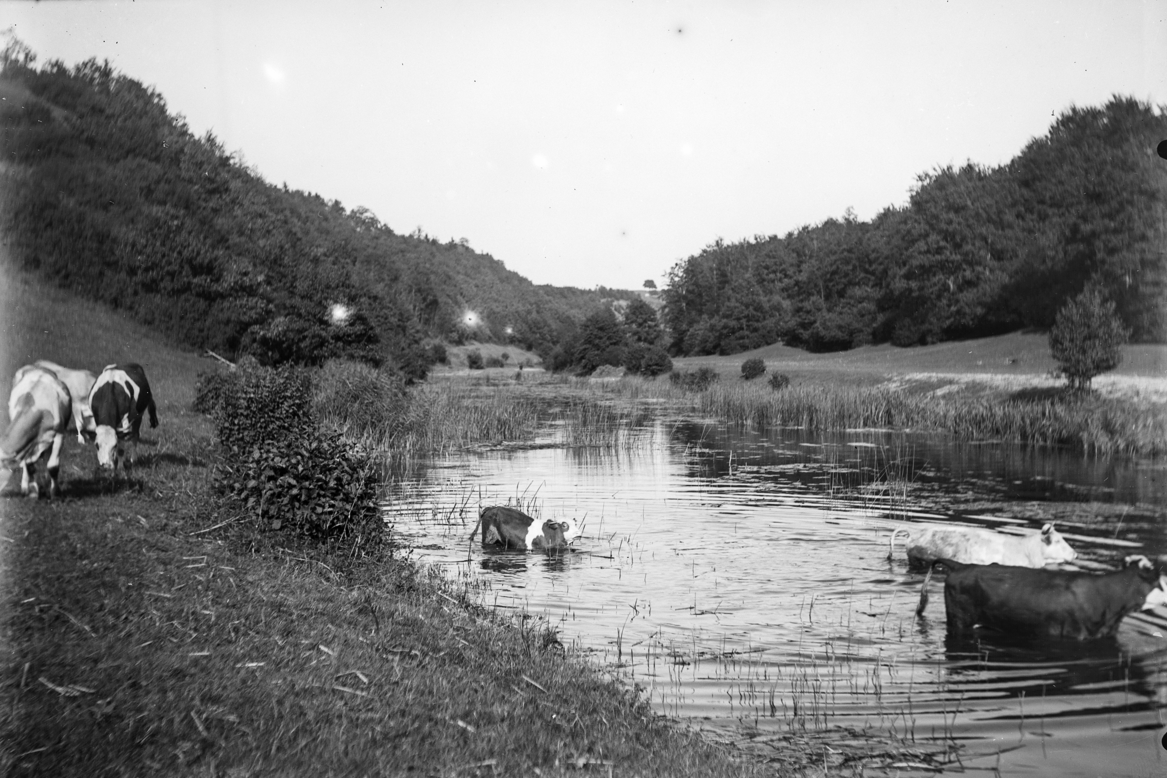 Inv.-Nr. 4467